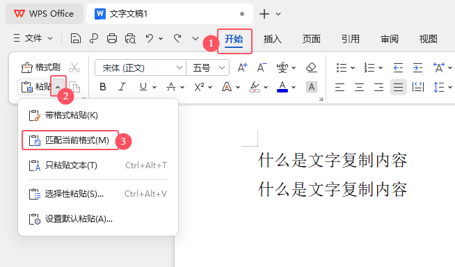 WPS Office\(yn)ճNƥ䮔(dng)ǰʽճN(ni)ݣ